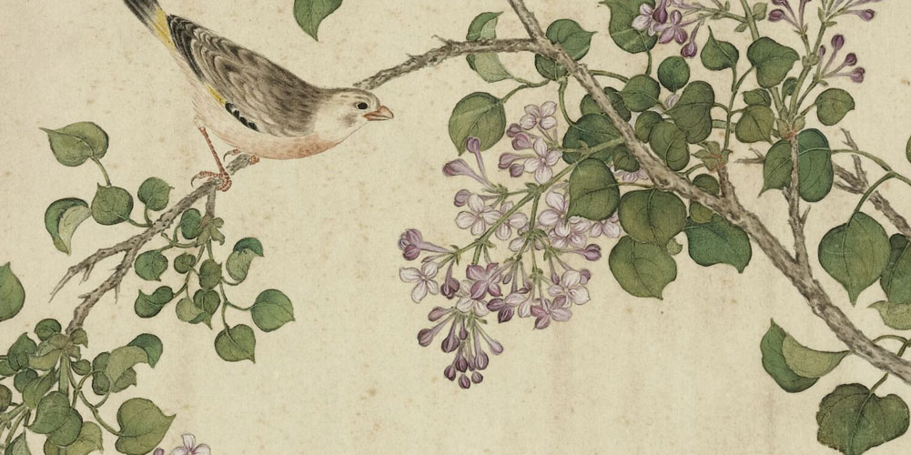 芭蕉不展丁香结。