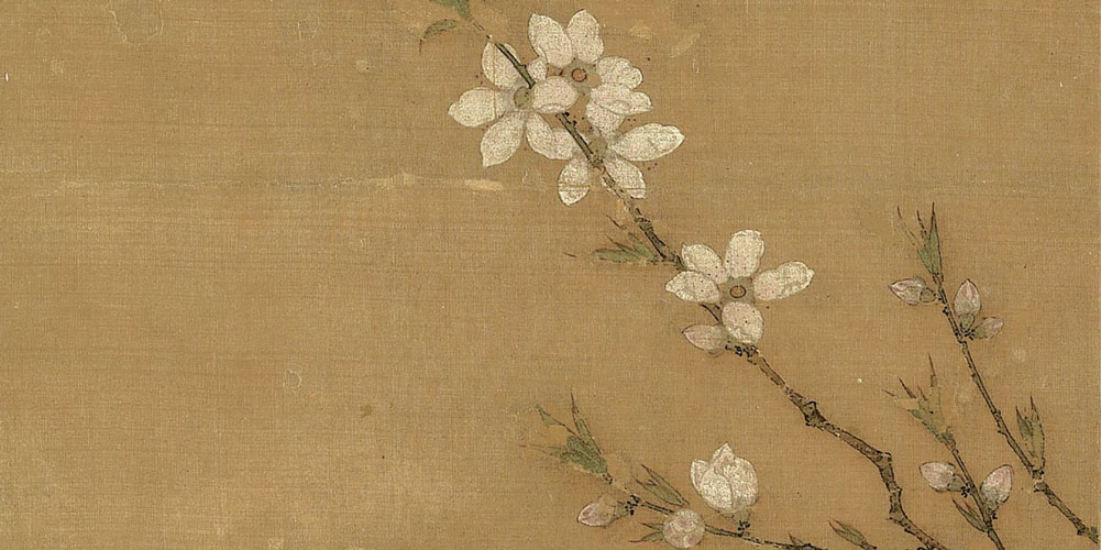 白发悲花落，青云羡鸟飞。