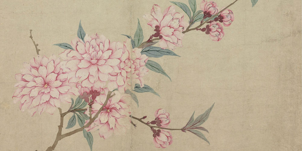 人无千日好，花无百日红。