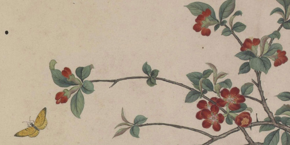 可惜明年花更好，知与谁同？