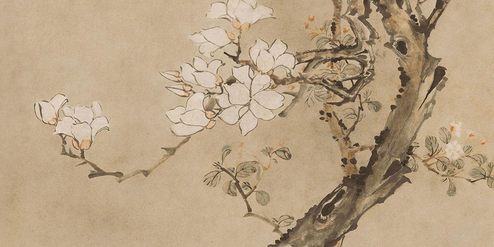 木末芙蓉花，山中发红萼。