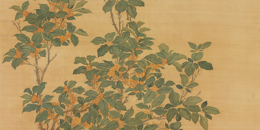 扪萝正意我，折桂方思君。