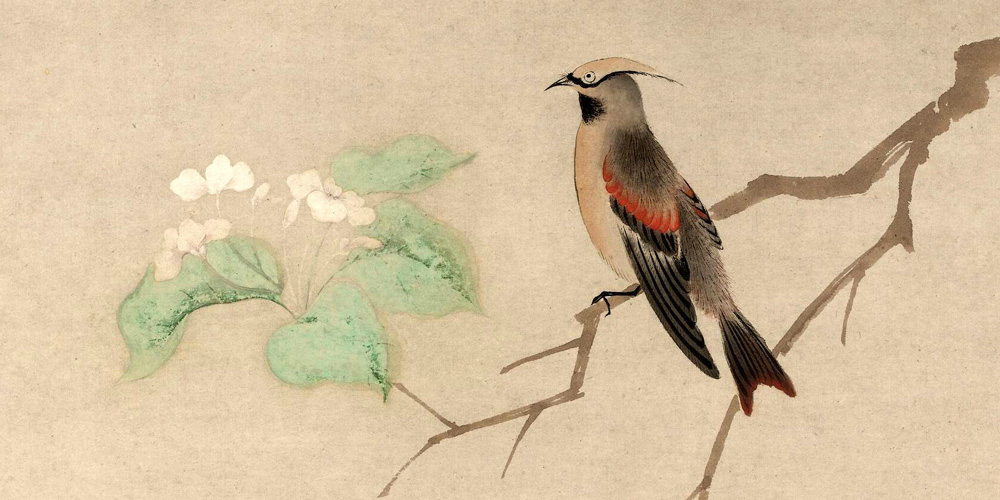 蜉蝣之羽，衣裳楚楚。