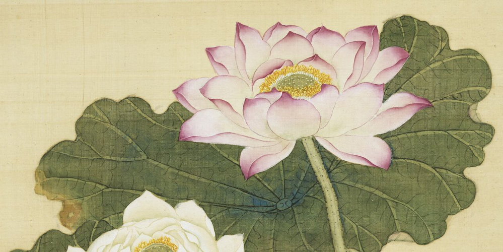 田田初出水，菡萏念娇蕊。
