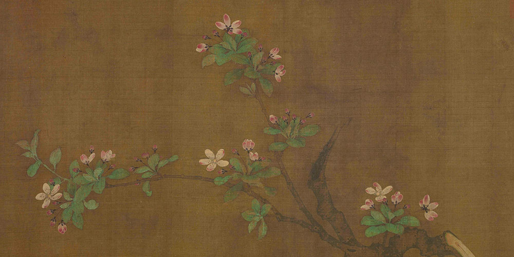 昔日芙蓉花，今成断根草。
