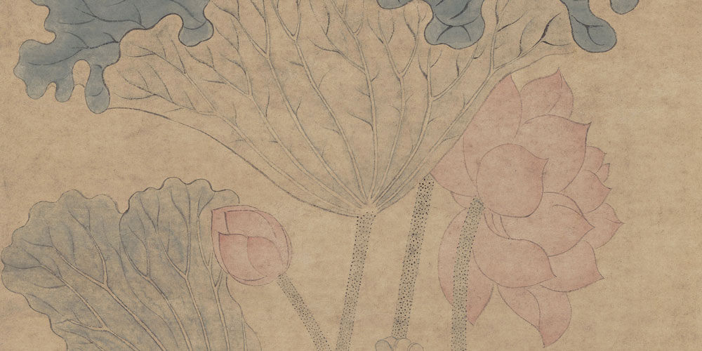 一朵芙蕖，开过尚盈盈。