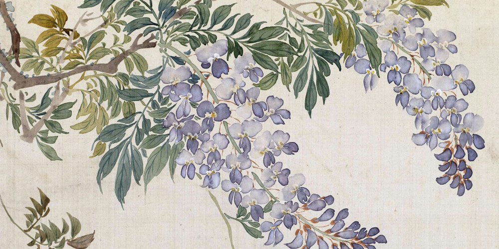 思君令人老，岁月忽已晚。