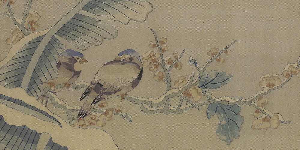 芭蕉叶叶为多情，一叶才舒一叶生。